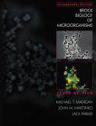 9780130491473 Brock biology of microorganisms