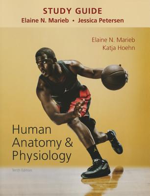 9780133999310 Study Guide for Human Anatomy  Physiology