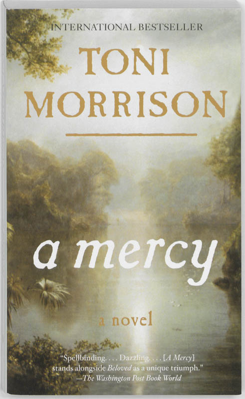 9780307472342 A Mercy