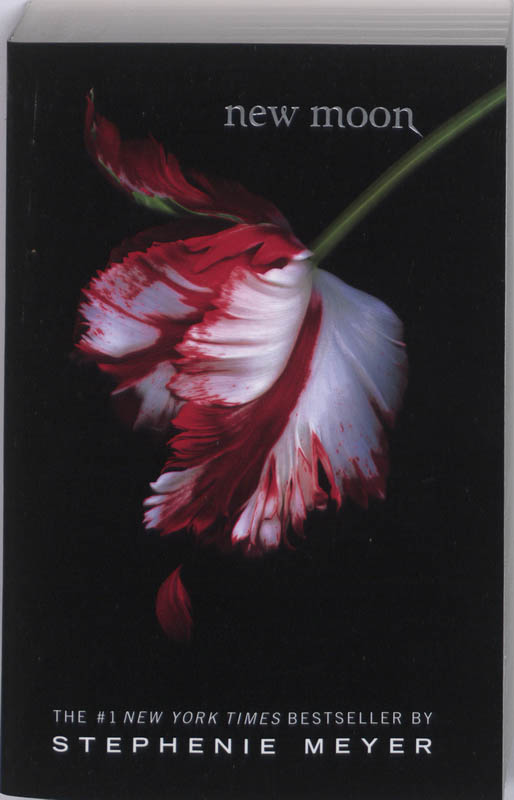 9780316024969 New Moon