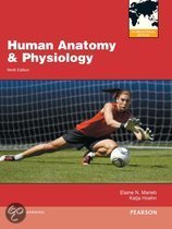 9780321799173 Human Anatomy  Physiology