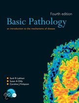 9780340950036 Basic Patholgy