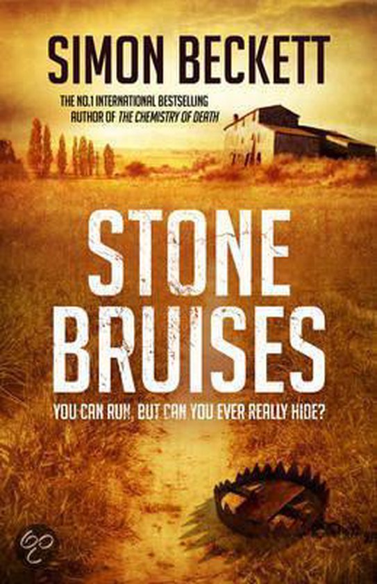 9780593073285-Stone-Bruises