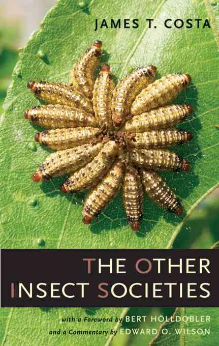 9780674021631 The Other Insect Societies