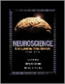 9780683305968 Neuroscience Exploring the Brain