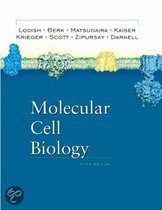 9780716743668 Molecular Cell Biology Fifth Edition