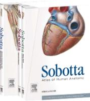 9780723437314 Sobotta Atlas Of Anatomy