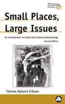 9780745317724 Small places large issues