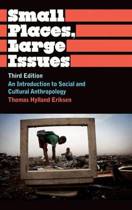 9780745330495 Small Places Large Issues