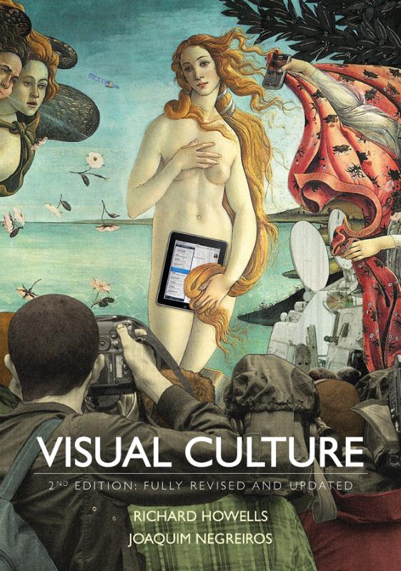 9780745650715 Visual Culture