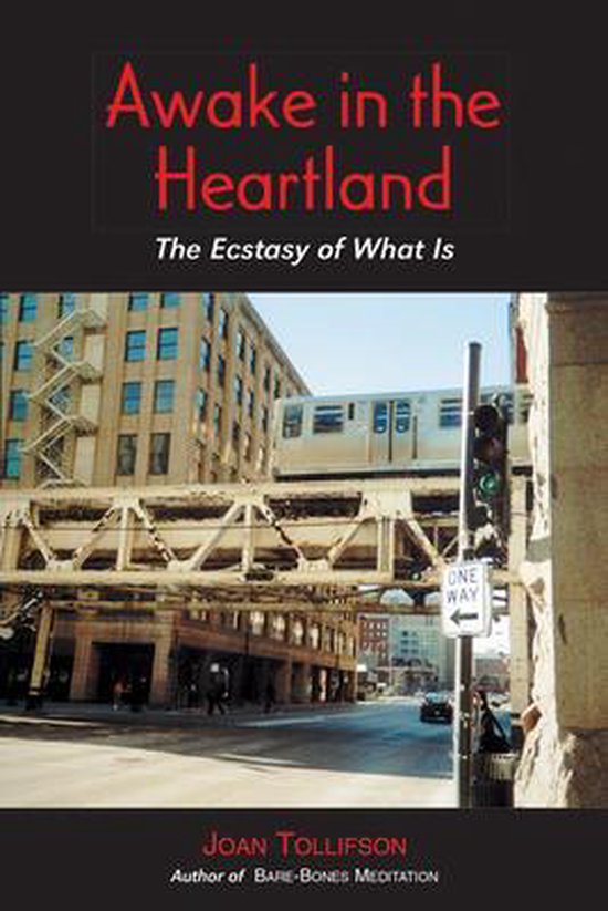 9780955176241 Awake in the Heartland
