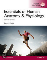 9781292057200 Essentials of Human Anatomy  Physiology Global Edition
