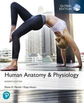 9781292260853 Human Anatomy  Physiology Global Edition