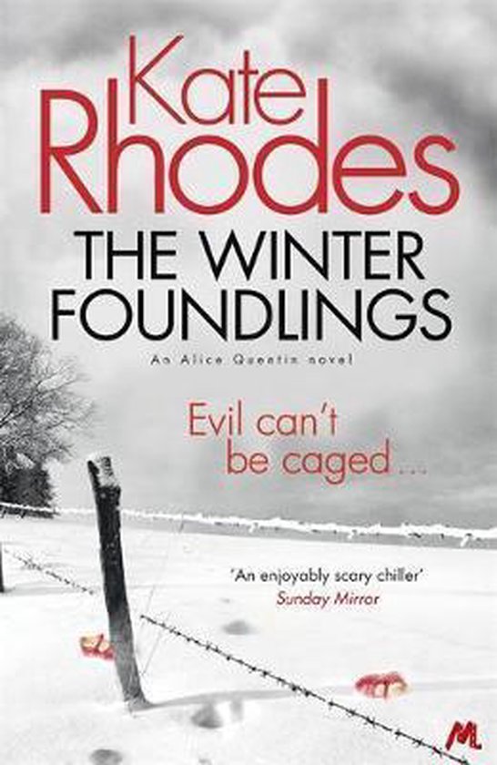 9781444738841-The-Winter-Foundlings