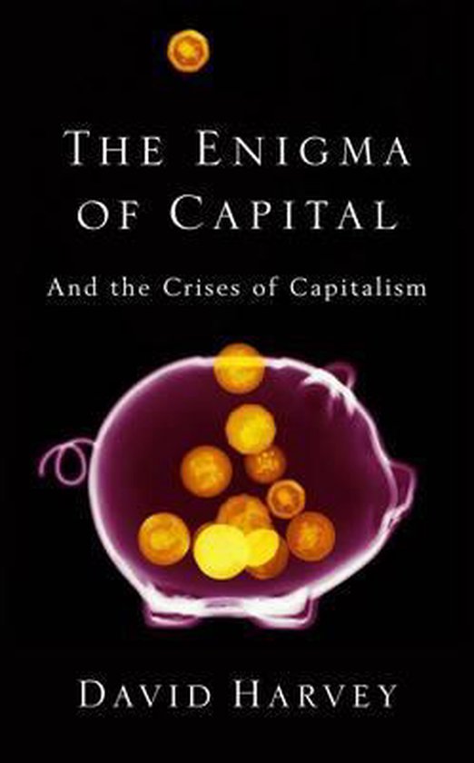 9781846683084-The-Enigma-Of-Capital