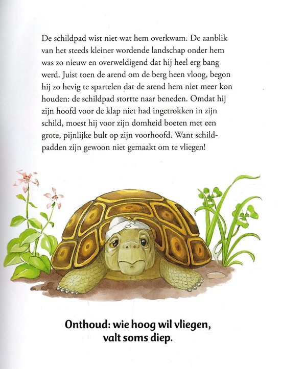 9783849908348 De mooiste fabels voor kinderen illustraties Anne  Suess