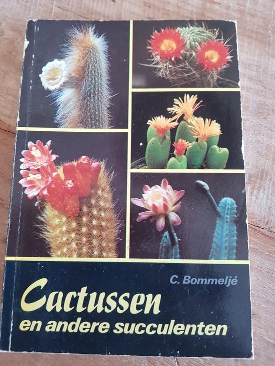 9789003941718-Cactussen-en-andere-succulenten