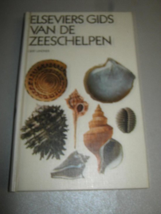 9789010017406 Elseviers gids zeeschelpen
