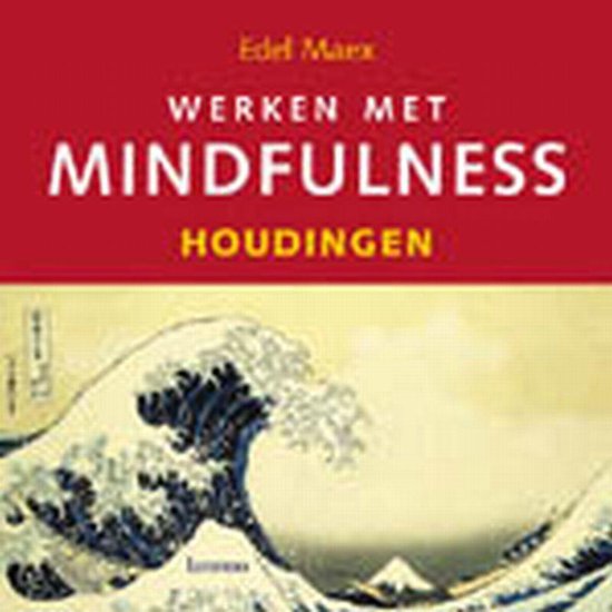 9789020976793 Werken met mindfulness  Houdingen incl cd