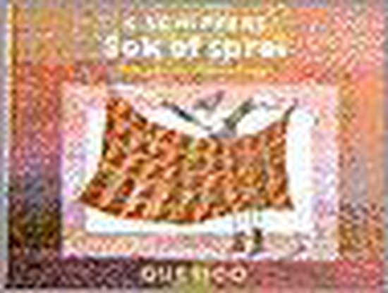 9789021480763 Sok of sprei