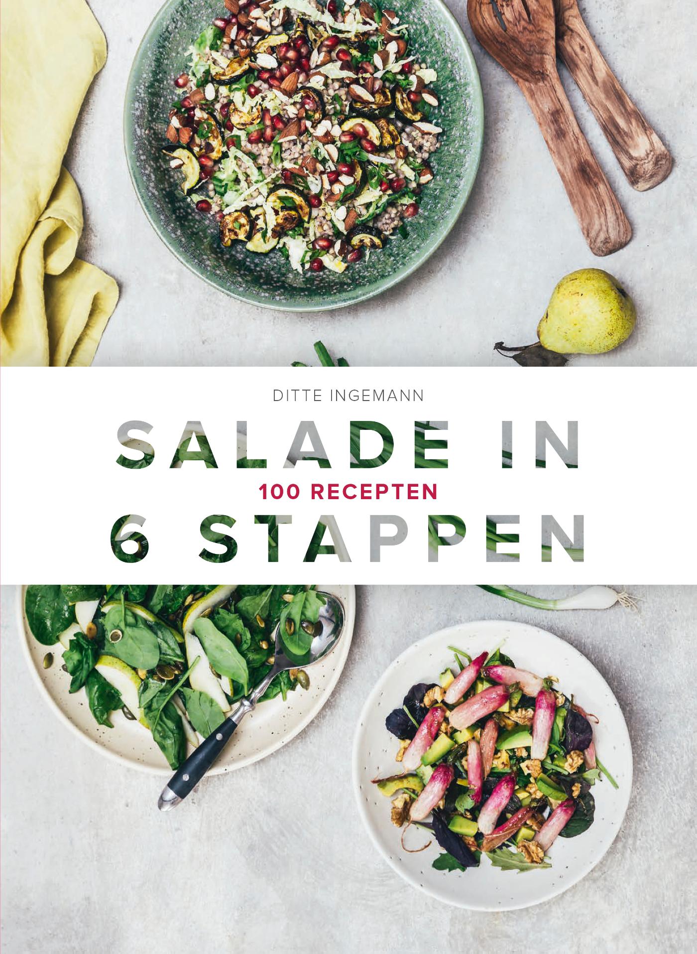 9789021572833-Salade-in-6-stappen