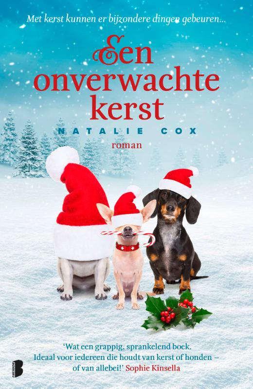 9789022585726 Een onverwachte kerst