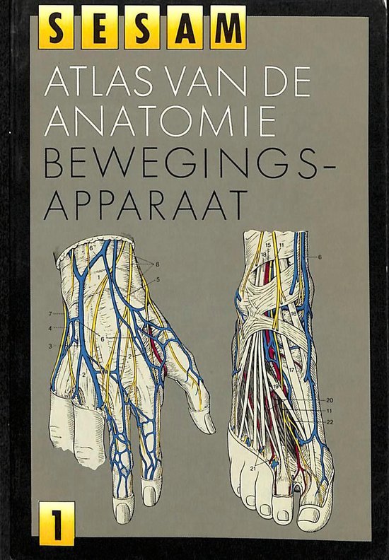 9789024669165 Sesam atlas van de anatomie