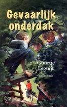 9789026611933 Gevaarlijk onderdak