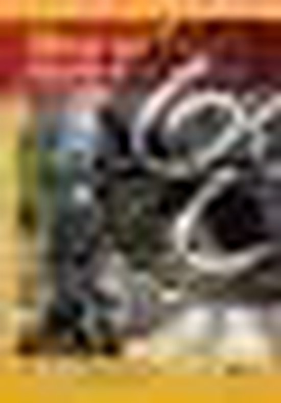 9789033626173 Shen en Pinos vlucht door China