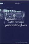 9789035215627 Opgroeien onder moeilijke gezinsomstandigheden  druk 2