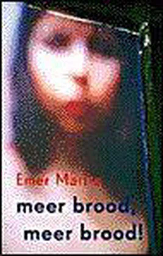 9789038849348 Meer brood meer brood 