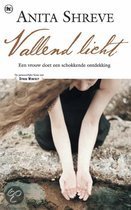 9789044305210 Vallend licht