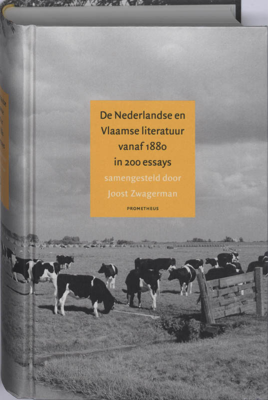 Essay nederlandse literatuur 08 image