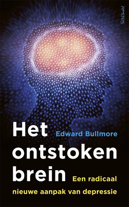 9789044638851 Het ontstoken brein