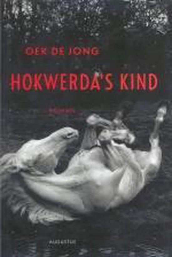 9789045701219-Hokwerdas-kind-pap