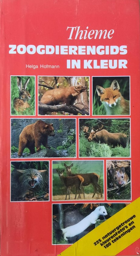 9789052100036 Zoogdierengids in kleur