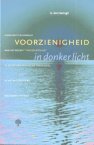 9789058291066 Voorzienigheid in donker licht  druk 1