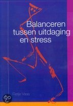 9789058713339 Balanceren tussen uitdaging en stress