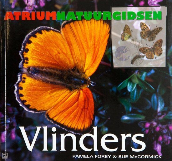 9789059472709 Vlinders