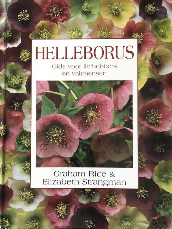 9789060974568 Helleborus