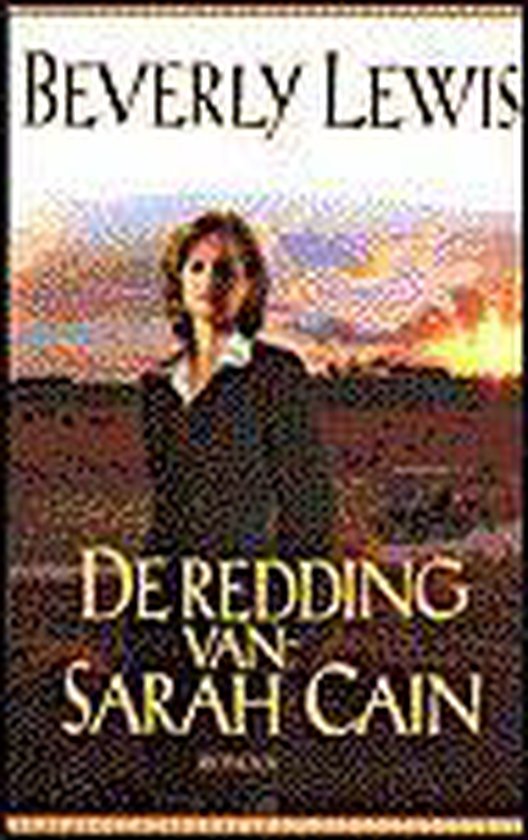 9789061407546 De redding van Sarah Cain