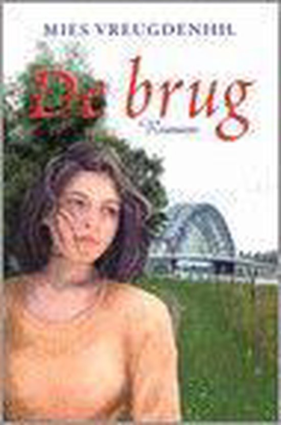 9789061408604 De brug