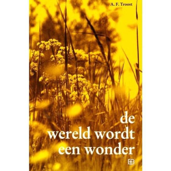 9789071156137 Wereld wordt een wonder