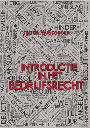 9789074065351 Introductie in het bedrijfsrecht