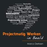 9789080287303 Projectmatig Werken in Beeld
