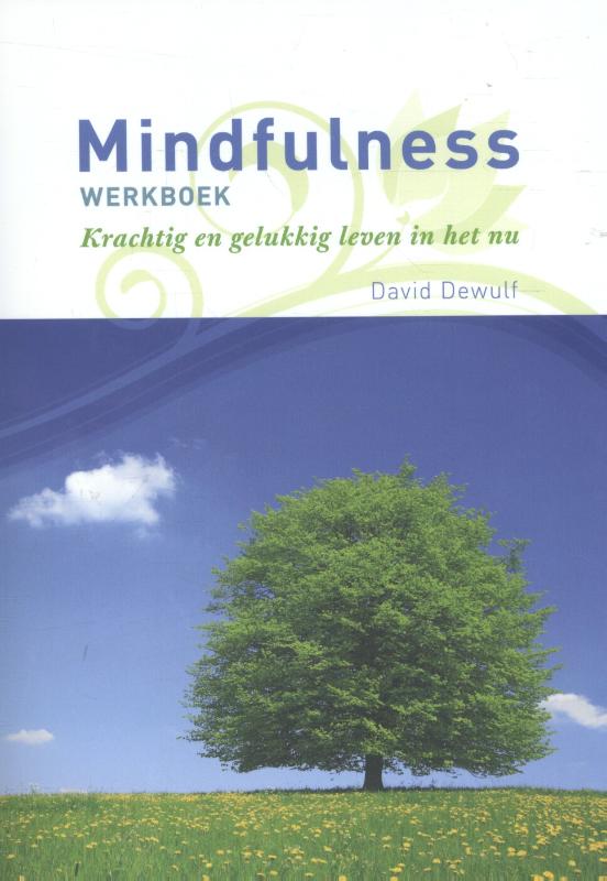 9789082428308 Mindfulness werkboek