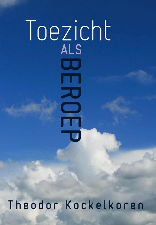 9789082536201 Toezicht als beroep