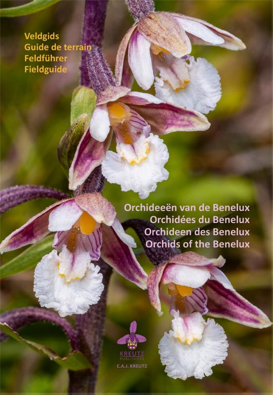 9789083141107-Orchideeen-van-de-Benelux