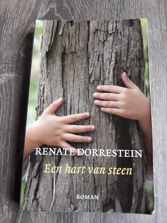 9789085162865 Een hart van Steen