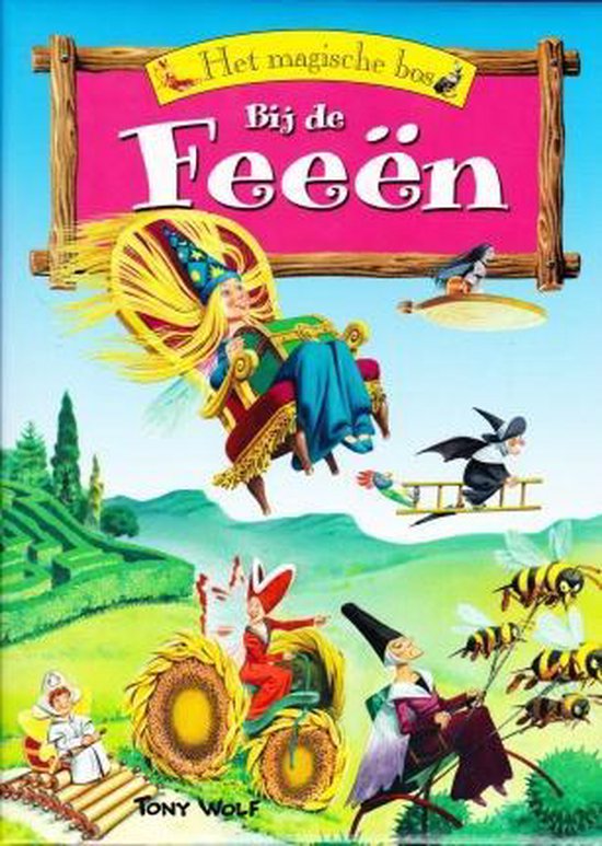 9789086680245 Het magische bos  bij de Feen